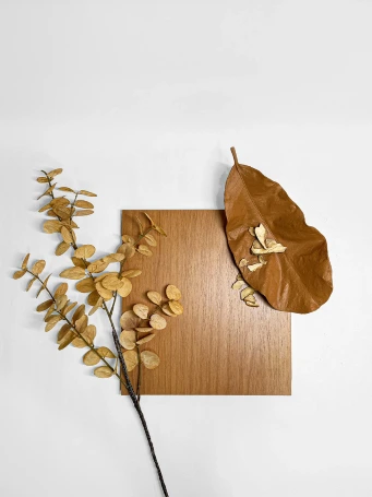 Cedro-1 1